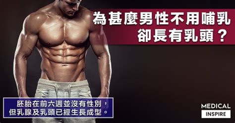 男人的奶頭|【人體奧秘】為甚麼男性不需要哺乳，卻長有乳頭？